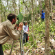 Imagen para el artículo titulado Descubren la ciudad Maya perdida de Chactún en una selva de México